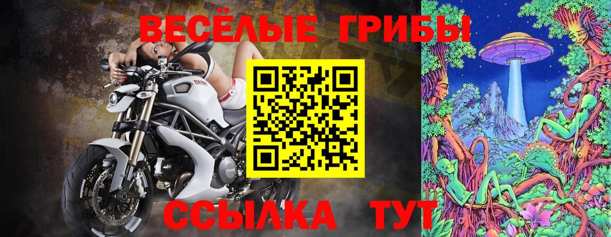 Галлюциногенные грибы ЛСД Усолье-Сибирское